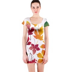 Beautiful Autumn Leaves Vector Short Sleeve Bodycon Dress by Nexatart