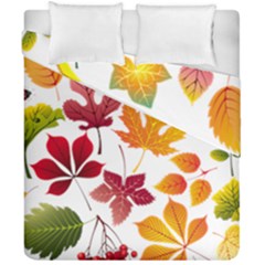 Beautiful Autumn Leaves Vector Duvet Cover Double Side (california King Size) by Nexatart