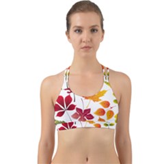 Beautiful Autumn Leaves Vector Back Web Sports Bra by Nexatart