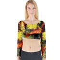 St Barbara Resort Long Sleeve Crop Top View1