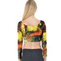 St Barbara Resort Long Sleeve Crop Top View2