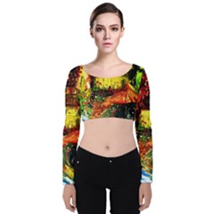 St Barbara Resort Velvet Crop Top