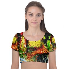 St Barbara Resort Velvet Short Sleeve Crop Top  by bestdesignintheworld