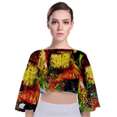 St Barbara Resort Tie Back Butterfly Sleeve Chiffon Top