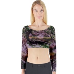 Old Tree 6 Long Sleeve Crop Top