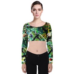 Jealousy   Battle Of Insects 4 Velvet Crop Top