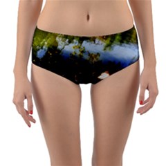 Highland Park 10 Reversible Mid-waist Bikini Bottoms by bestdesignintheworld