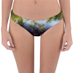 Highland Park 10 Reversible Hipster Bikini Bottoms by bestdesignintheworld