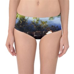 Highland Park 10 Mid-waist Bikini Bottoms by bestdesignintheworld