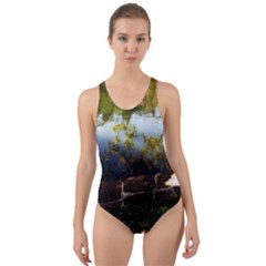 Highland Park 10 Cut-out Back One Piece Swimsuit by bestdesignintheworld