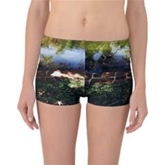 Highland Park 10 Reversible Boyleg Bikini Bottoms by bestdesignintheworld