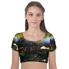 Highland Park 10 Velvet Short Sleeve Crop Top  by bestdesignintheworld