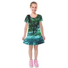 Hot Day In Dallas 5 Kids  Short Sleeve Velvet Dress by bestdesignintheworld