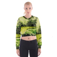 Lake Park 9 Cropped Sweatshirt by bestdesignintheworld