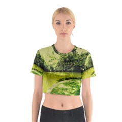 Lake Park 9 Cotton Crop Top by bestdesignintheworld