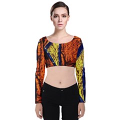 Cryptography Of The Planet 9 Velvet Crop Top