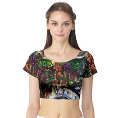 Gatchina Park 4 Short Sleeve Crop Top by bestdesignintheworld