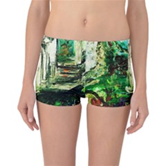 Gatchina Park 3 Reversible Boyleg Bikini Bottoms by bestdesignintheworld