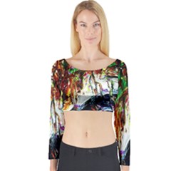 Gatchina Park 1 Long Sleeve Crop Top by bestdesignintheworld