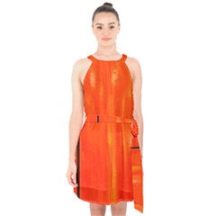 Abstract Orange Halter Collar Waist Tie Chiffon Dress by Modern2018