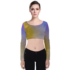 Abstract Smooth Background Velvet Crop Top