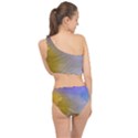 Abstract Smooth Background Spliced Up Swimsuit View2