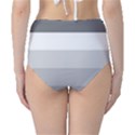 Elegant Shades Of Gray Stripes Pattern Striped Classic High-Waist Bikini Bottoms View2