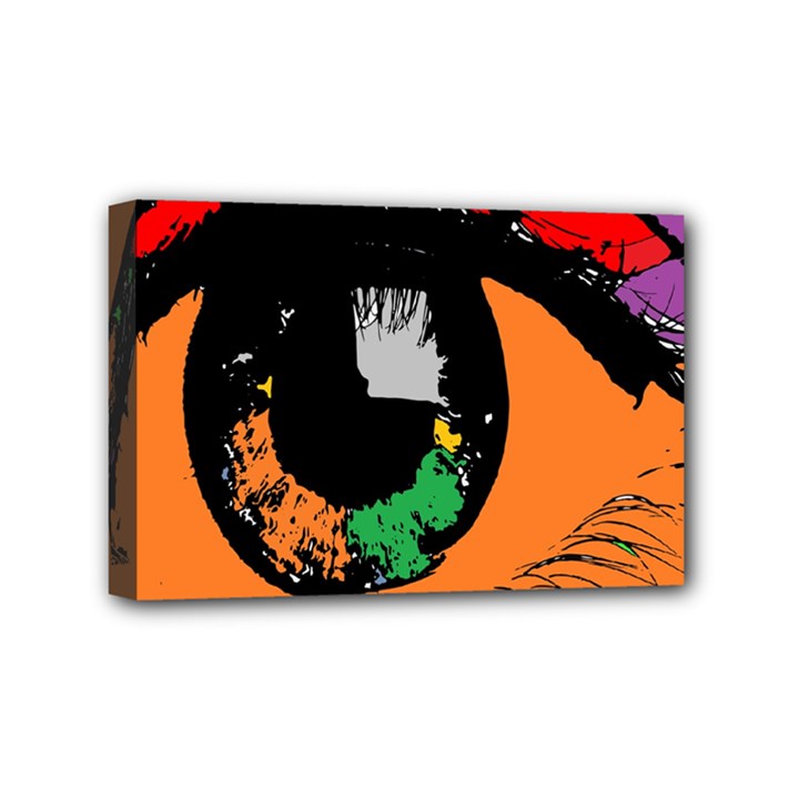 Eyes Makeup Human Drawing Color Mini Canvas 6  x 4 