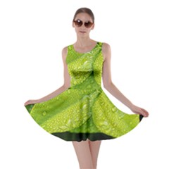 Leaf Green Foliage Green Leaves Skater Dress by Simbadda