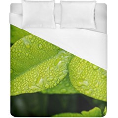 Leaf Green Foliage Green Leaves Duvet Cover (california King Size) by Simbadda