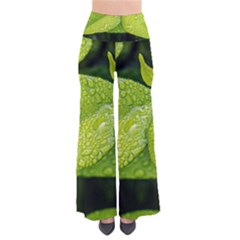 Leaf Green Foliage Green Leaves So Vintage Palazzo Pants by Simbadda