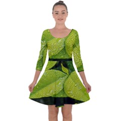 Leaf Green Foliage Green Leaves Quarter Sleeve Skater Dress by Simbadda