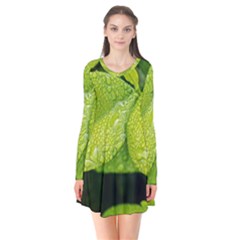 Leaf Green Foliage Green Leaves Flare Dress by Simbadda