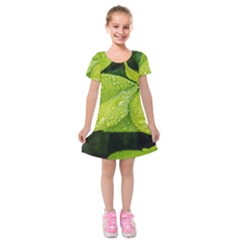 Leaf Green Foliage Green Leaves Kids  Short Sleeve Velvet Dress by Simbadda