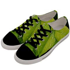 Leaf Green Foliage Green Leaves Men s Low Top Canvas Sneakers by Simbadda