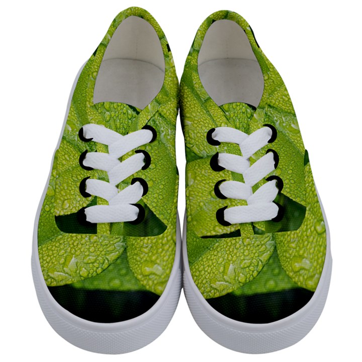 Leaf Green Foliage Green Leaves Kids  Classic Low Top Sneakers