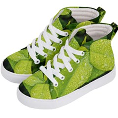 Leaf Green Foliage Green Leaves Kid s Hi-top Skate Sneakers by Simbadda