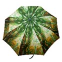 Close To Pinky,s House 11 Folding Umbrellas View1