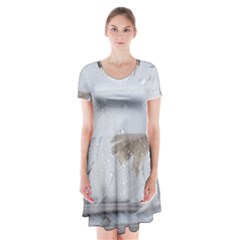 Feather Brown Gray White Natural Photography Elegant Short Sleeve V-neck Flare Dress by yoursparklingshop