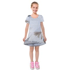 Feather Brown Gray White Natural Photography Elegant Kids  Short Sleeve Velvet Dress by yoursparklingshop