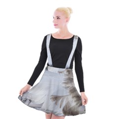 Feather Brown Gray White Natural Photography Elegant Suspender Skater Skirt by yoursparklingshop