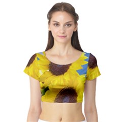 Sunflower Floral Yellow Blue Sky Flowers Photography Short Sleeve Crop Top by yoursparklingshop