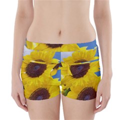 Sunflower Floral Yellow Blue Sky Flowers Photography Boyleg Bikini Wrap Bottoms by yoursparklingshop