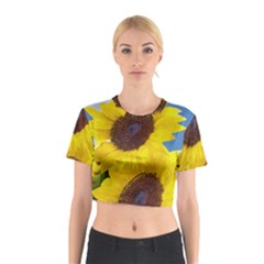 Sunflower Floral Yellow Blue Sky Flowers Photography Cotton Crop Top by yoursparklingshop