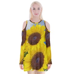 Sunflower Floral Yellow Blue Sky Flowers Photography Velvet Long Sleeve Shoulder Cutout Dress by yoursparklingshop