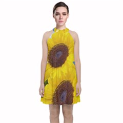 Sunflower Floral Yellow Blue Sky Flowers Photography Velvet Halter Neckline Dress  by yoursparklingshop