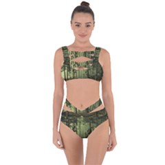 Forest Tree Landscape Bandaged Up Bikini Set  by Simbadda