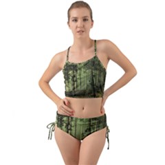 Forest Tree Landscape Mini Tank Bikini Set by Simbadda