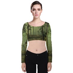 Forest Tree Landscape Velvet Crop Top