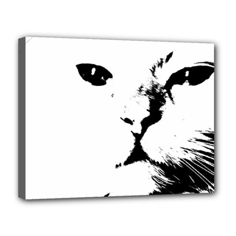 Cat Canvas 14  X 11  by StarvingArtisan